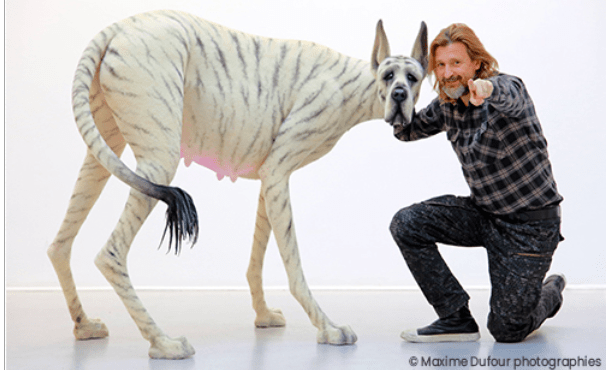 Capture d’écran 2022-08-26 à 11.21.16